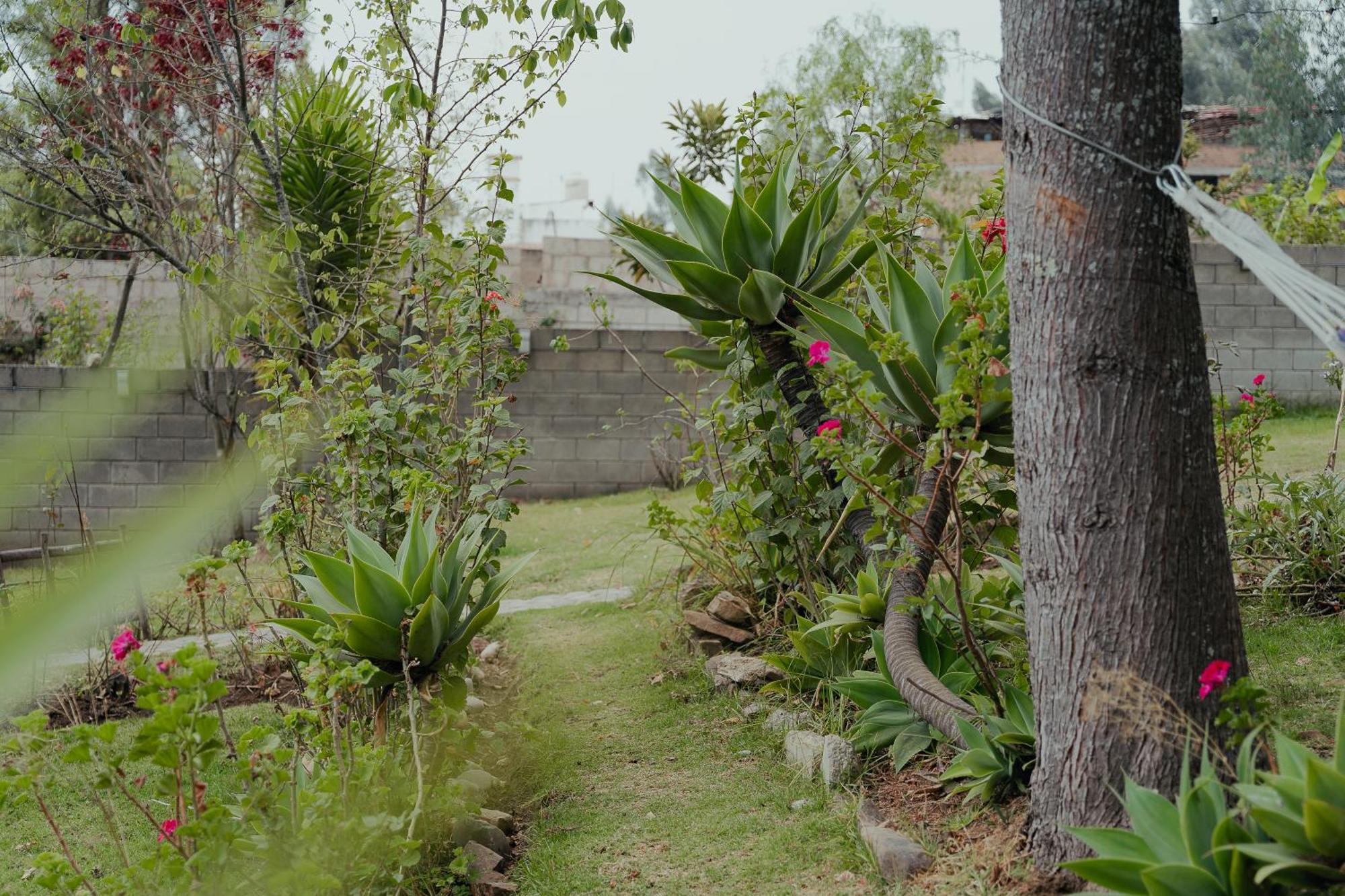 Kinti Wasi Casa De Campo Hospedaje Лос-Баньос-дель-Инка Экстерьер фото